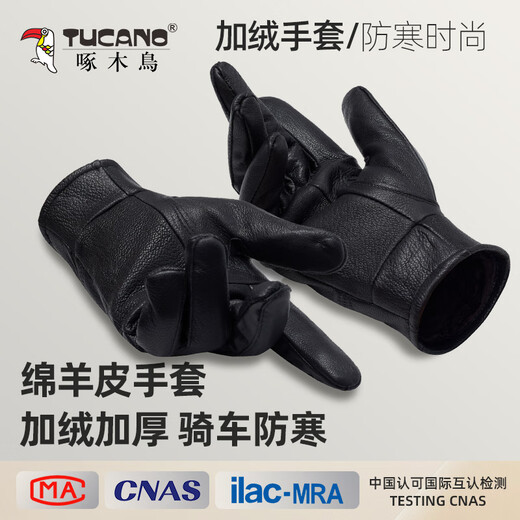 Woodpecker (TUCANO) genuine leather gloves for men, winter cycling and driving, touch screen sheepskin gloves, water-repellent, outdoor warm and cold-proof plus velvet gloves