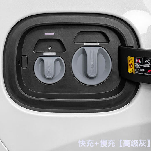 Litian Chery Fengyun A8A8LA9LT8T9T10 Charging Port Protective Cover Magnetic Silicone Waterproof Cover Dust-proof Plug Silicone Magnetic Charging Port Cover Fast Charging + Slow Charging Gray 1