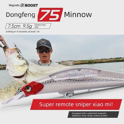 Dahe Run Dongfeng 75m sol Nongfeng n ° 9 Magnetic Storm Remote System Hook-bouche basse séduction noire 11975 mm 9,5g