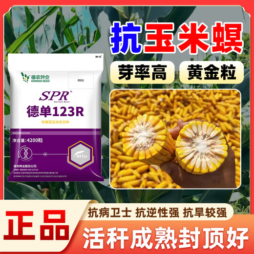 壮汉转基因高产玉米种子抗倒抗旱大棒抗虫矮杆封顶性好高净度苞谷种 转基因抗虫高产【3950粒】封顶好