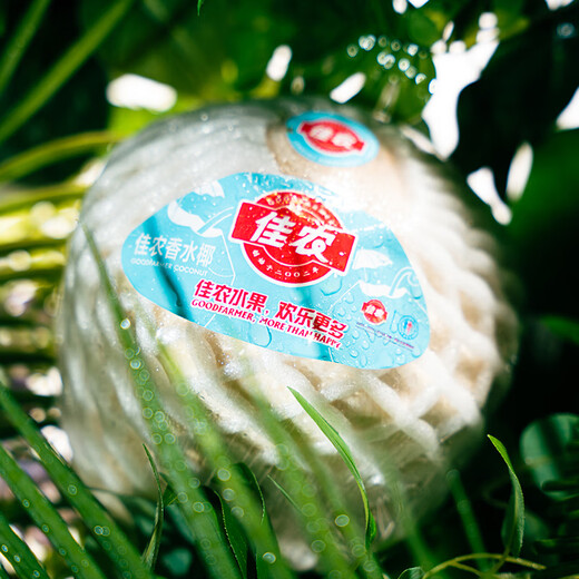 Goodnon Thailand imported green coconut 6 pieces large fruit single fruit 900g + free coconut opener fresh fruit straight from the source