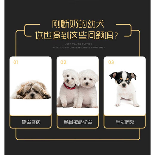 Xiaoyangsen Natural Fresh Beef Puppy Dog Food 25kg Corgi Border Collie Alaskan German Shepherd Golden Retriever Milk Cake 30Jin Jin is equal to 0.5kg Beef Puppy Food 2 points 5kg