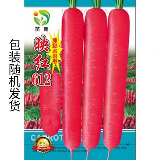Rock sugar fruit carrot seeds farm sweet crisp fruit radish seeds summer and autumn garden planting vegetable seeds original factory packaging 5 packs about 4000 capsules