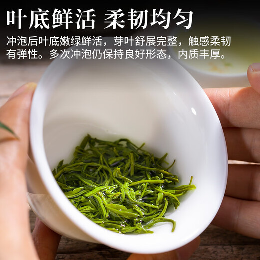 Impression Hall Tea 2025 New Tea Green Tea Special Yunwu Green Tea Strong Flavor Bag 500g Drink it yourself
