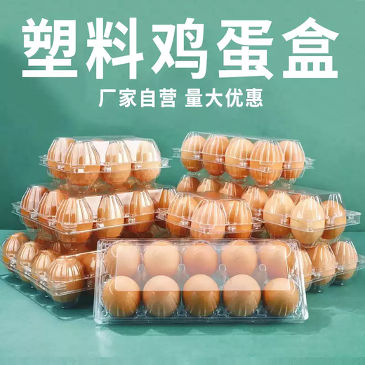 Zhong Zhanggui disposable egg tray plastic 10-piece compression-resistant and shock-proof multi-Specifications special 15-piece firewood egg packaging box for supermarkets Ten medium-sized egg packaging boxes thickened 10 pieces