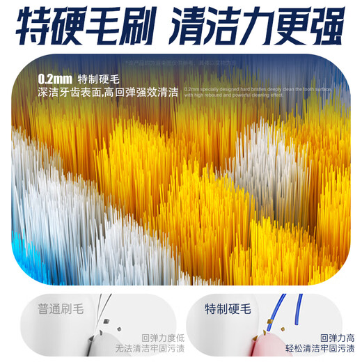 Hao Teeth Premium Extra Hard Bristle Adult Toothbrush Men's Special Toothbrush Removes Cigarette Stains and Tea Stains Protects Strong Oral Cleansing - 2 Pack