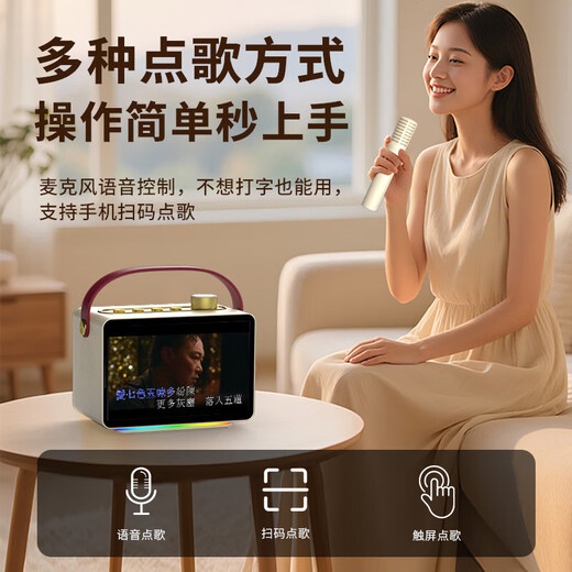Newman smart karaoke speaker, portable home KTV outdoor karaoke amplifier, Bluetooth touch screen, smart karaoke machine for gifts, microphone and audio all-in-one machine KK19 obsidian black
