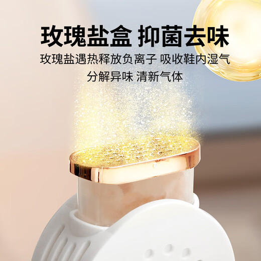 German shoe dryer, shoe warmer, deodorizing dryer, full wet shoe dryer for home use, upgraded digital display, double brackets