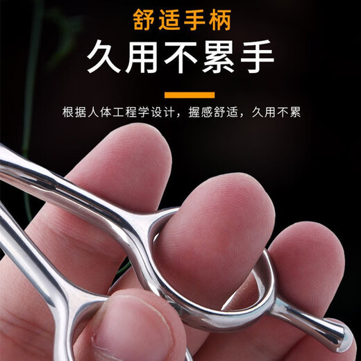 Tanizaki pet scissors 7-inch double-tailed nail scissors set beauty curved scissors for cats and dogs universal hair trimming and shearing tool #7-inch double-tailed nailed upward scissors + care set