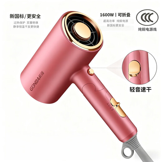 GUANGBA 2025 new technology National standard certified hair dryer household negative ion hair care silent quick-drying high wind low power hair dryer for dormitory students constant temperature does not harm hair quality Champagne powder New national standard safer 1600W Naked model 2M pure copper power cord