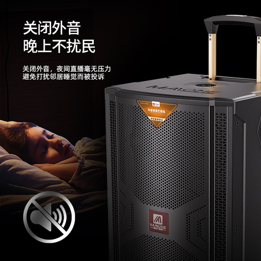 MALONE high-power outdoor karaoke speaker with wireless microphone Bluetooth professional sound card live singing high volume performance mobile trolley square dance speaker K-710 speaker (8-inch bass) dual microphones + gift package