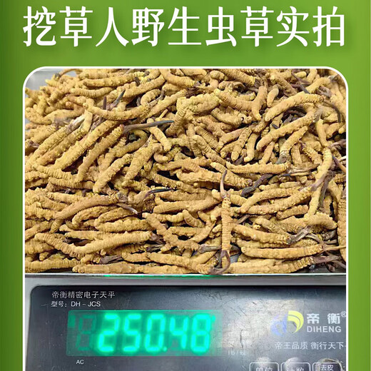 挖草人【西藏那曲】野生冬虫夏草 中老年人养生滋补品 虫草高档年货礼品 三级草[4根1克] 5克
