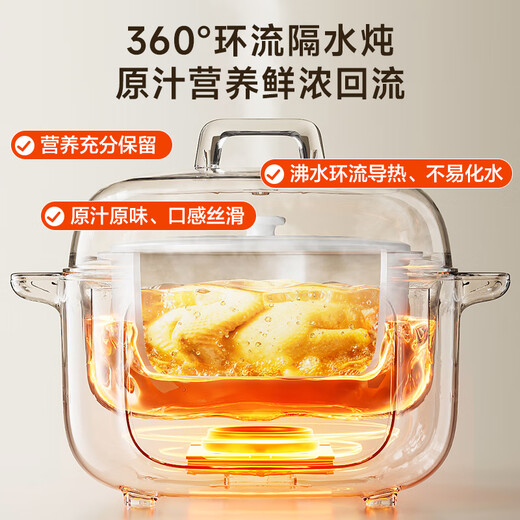 SUPOR electric stew pot, electric stew cup, water-proof stew household multi-functional soup stew pot, ceramic bird's nest stew pot, one pot, five galls, steaming and stewing all-in-one multi-purpose pot DZ25YC886