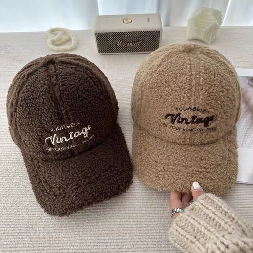 Yinqi Starling Lamb Wool Baseball Cap Women's 2025 New Autumn and Winter Fashionable Warm Thick Peaked Cap Showing Face Small Plush Hat Brown One Size