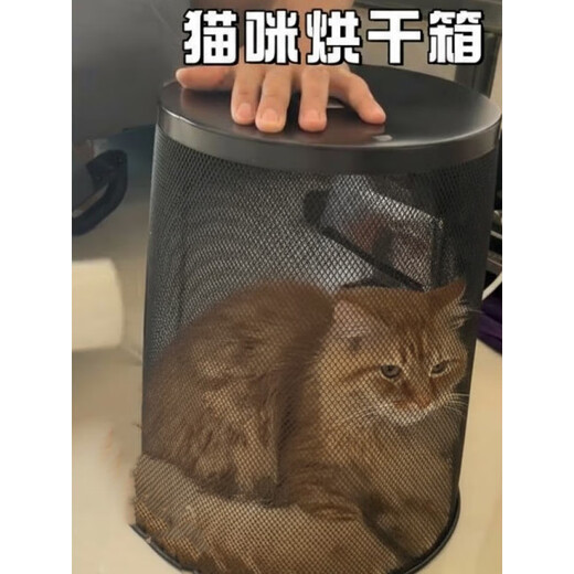 靠森（Kaooseen）猫咪专用烘干箱平替宠物兔子幼犬吹毛烘干机洗澡吹干水神器防抓咬 黑色大号18(适合8斤以上大胖猫)【耐抓耐挠】