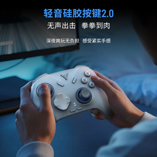 Feizhi Direwolf 3/Direwolf 4 multi-template wireless controller DW12C type xbox controller Switch/Steam Black Myth Wukong game controller Mingmo Yuanxu Feather controller hot new product Direwolf 4 multi-template