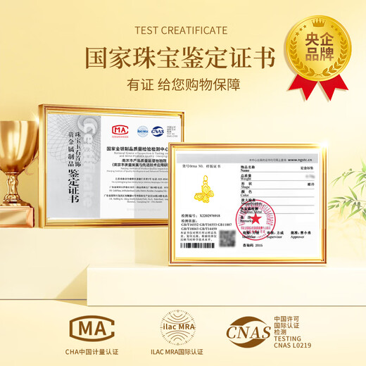 Chinese Gold Dream Butterfly Gold Necklace for Women 2025 New Pure Gold Pendant Birthday Gift for Girlfriend Wedding Anniversary Pure Gold Dream Butterfly Pendant Free Silver Chain + Rose Gift Box