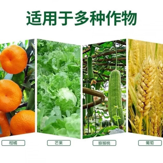 Potassium chloride potassium fertilizer high-efficiency agricultural fertilizer soluble instant easy compound fertilizer Ural white crystal potassium chloride