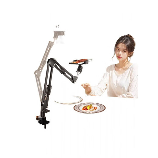 Qizhi special mobile phone holder with portable overhead shooting cantilever straight shelf wall hanging gourmet calligraphy beads floor-standing heightening model + 26cm shadowless lamp + remote control