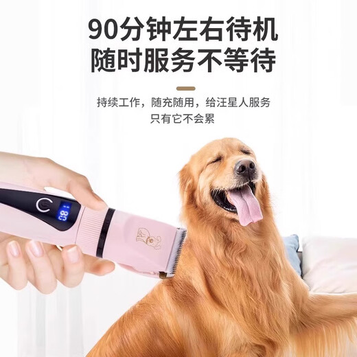 WCZ German dog shaver, pet electric clipper, Teddy cat shaving, dog hair clipper, hair trimmer, cat trimmer (low noise, safe and no hair jam) value set - Tuhao Gold