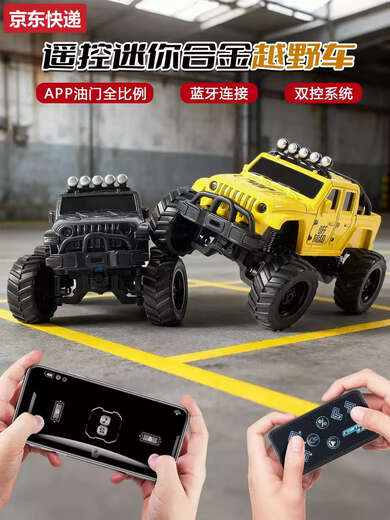 Maternity mother 2025 new remote control car mini desktop car rc off-road children's boy toy advanced black parent-child interaction 2 pack yellow + dark gray