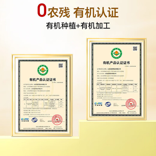 Beijing Tongrentang Ganoderma-Sporenöl-Weichkapselpulver wird im Innenbereich zur Stärkung der Immunität verwendet, Nahrungsergänzungsmittel für Menschen mittleren Alters und ältere Menschen mit geringer Immunität, Geschenkbox 1 Flasche, Blue Hat Health Products 1 Flasche, 40 Kapseln, Ganoderma-Sporenpulver