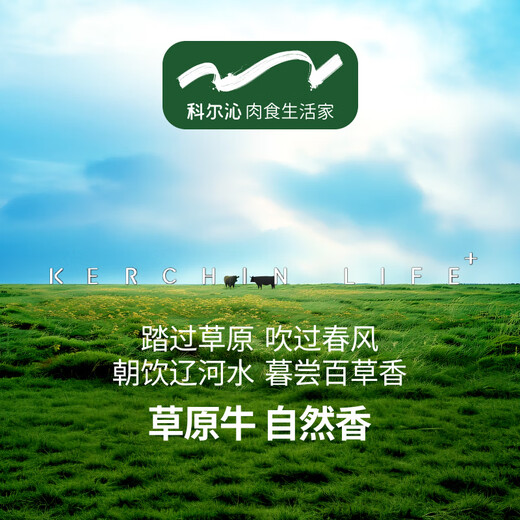 Horqin Chilled Beef Domestic Ox Tendon 3Jin Jin is equal to 0.5kg Halal Beef Raw Fresh Meat Straight from the Source Genuinely Cut