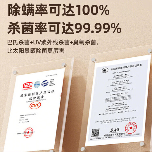 Chigo dryer household upgraded downward blow dryer maternal and child dryer portable folding dryer smart upgraded large capacity salt box + UV ZG-SY