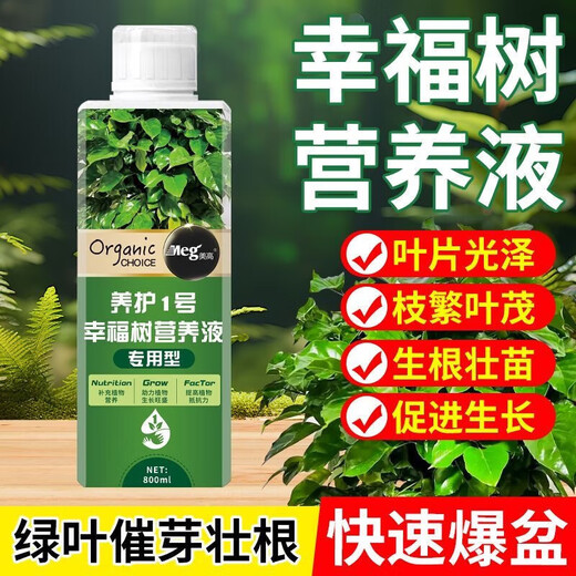 OUOETY leaf spot disease happy tree special fertilizer nutrient solution for flower cultivation, dry and fallen leaves hydroponic potted plant resurrection liquid happy tree nutrient solution 800ml*2 bottles