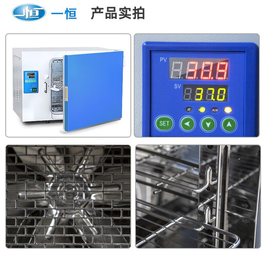 XMSJ电热恒温培养箱实验室种子催芽箱微生物发酵细菌恒温箱 270LDHP-9272