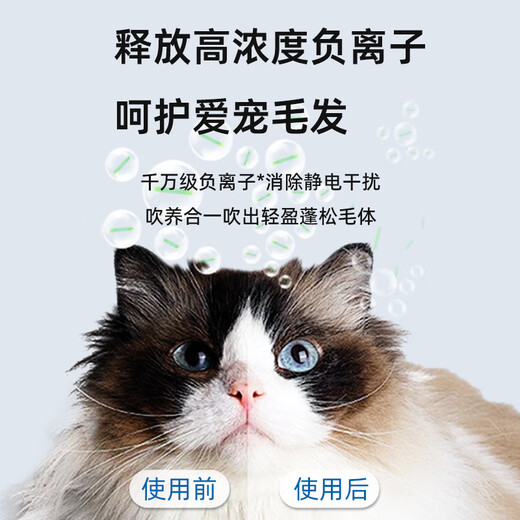 Lechi pet smart dryer cat fully automatic dog drying box silent household cat hair blowing and bathing artifact upgraded model