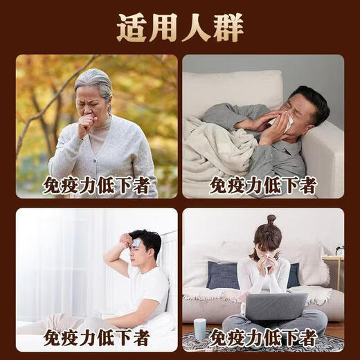 Beijing Tongrentang Chizhi Raw Huoshan Broken Ganoderma Spore Powder Verbessert die Immunität Tongrentang Ganoderma Spore Nourishing Blue Cap Product 10 g/Box 10 Stück