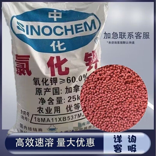 Kaooseen Canada imported red potassium chloride general fertilizer potash fertilizer agricultural high potassium granule instant fruit and vegetable fertilizer 10Jin Jin equals 0.5kg Express
