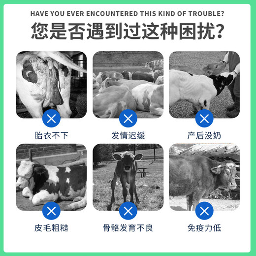 Cow feed for breeding heifers, timely breeding cattle quick supplement of trace elements, cow premix, monthly consumption, cow premix 20KG*3 bags