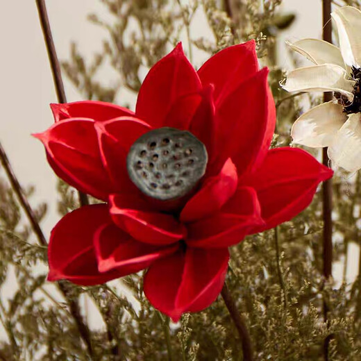 Frühlings- und Herbsternte High-End-Qualität getrockneter Blütenstrauß Real Blumen Wohnzimmer Innenausstattung High-End-Dekoration Ornamente Desktop Blütenarrangement Licht Luxus getrocknete Blume Kombination 12046 [ohne Vase]