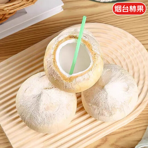 Jingdida Thailand imported old tree coconut king net weight 2.2Jin Jin is equal to 0.5kg 2 single fruits 550-630g fresh green coconut source straight hair