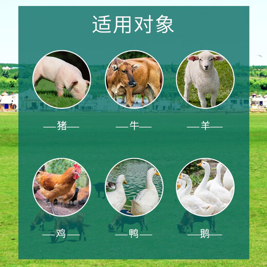 Changmu cod liver oil for veterinary use, multivitamins for pigs, cattle, sheep, chickens, ducks, geese, pigeons and poultry, instant egg production, multi-vitamin supplement, calcium, phosphorus, magnesium, zinc and eighteen supplements 1KG/bag, available for pregnant animals