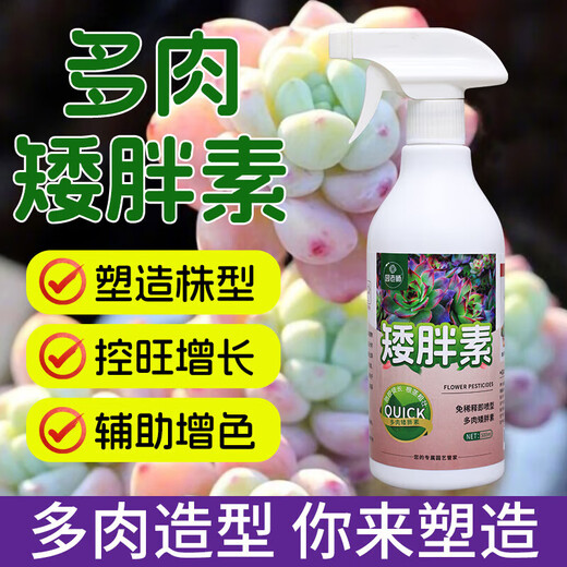 OUOETY succulent dwarf nutrient solution specializes in preventing and controlling leggy growth, increasing color and growth, promoting root growth chlormequat nutrient solution, dilution-free fertilizer, preventing scale insects succulent dwarf + scale insect special