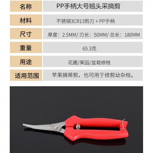 German quality stainless steel large tilted head fruit picking scissors for tomatoes, navel oranges, picking scissors for oranges and grapes 1 pair with serrated teeth for sharper short tilted heads