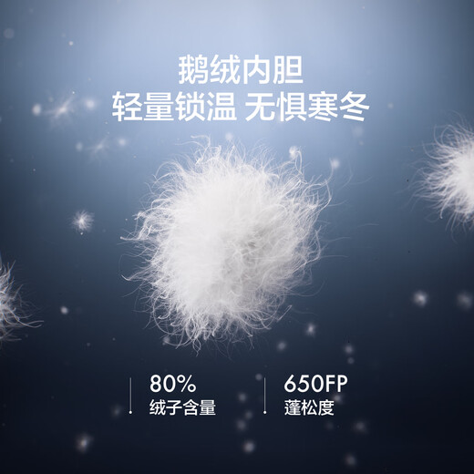 KOLON SPORT/Kolon Down Three-in-One Jacket Men's Waterproof, Windproof and Breathable Outdoor Jacket Level 2 LHJK5WNT13-BK Black XL 180/100A