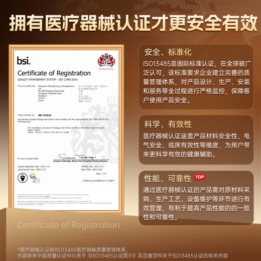 Panasonic Massage Chair Home Full Body Space Capsule 2025 Top Ten Brand Massage Sofa Chairs as Gifts for Elderly Parents National Subsidy EP-MA33-H492 Light Gray