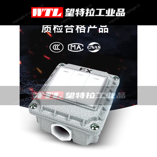 Suitable for explosion-proof wall switch fuse circuit breaker type 86 surface-mounted single open double open 10A20A factory workshop 220V3 explosion-proof rotary switch national standard 220V