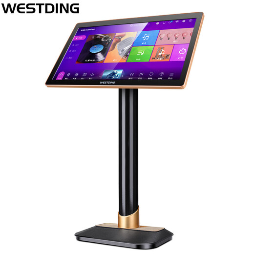Westin home ktv audio singing and karaoke machine all-in-one karaoke all-in-one karaoke machine vertical T220-500G intelligent voice full-view capacitive screen national karaoke system