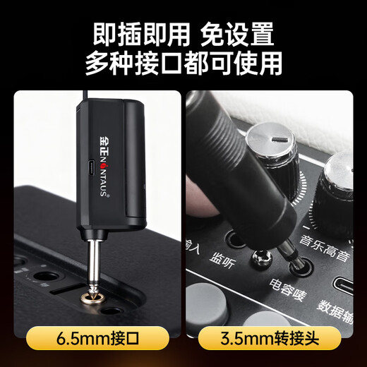 NINTAUS wireless microphone one-to-two home KTV professional karaoke singing microphone teaching stage conference hosting performance special handheld wireless microphone OK-12D gold