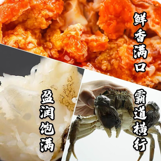 Live crabs Lake fresh Yangcheng hairy crabs whole female 3.3-3.6 pairs 8 pieces with rope feet removed fresh stock fresh aquatic products extra large crab gift seafood gift box