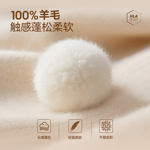 HLA Heilan long-sleeved sweater men's pure wool half turtleneck slim sweater men