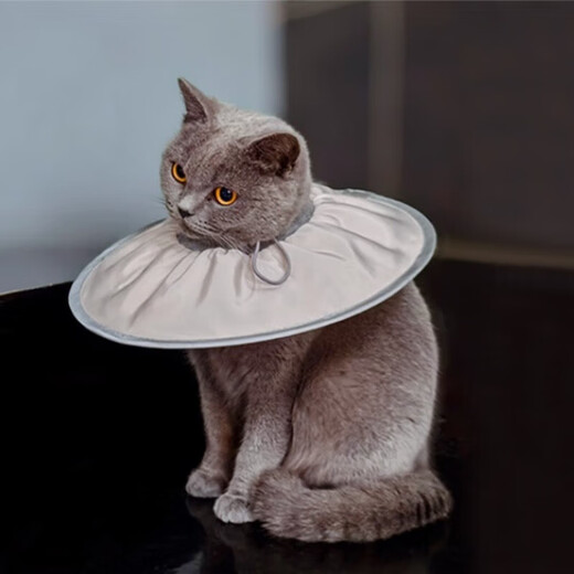 Cat Elizabeth collar soft collar super soft and comfortable pet anti-licking cat and dog universal sterilization collar anti-licking headgear Coco milk M (suitable for 5-10 Jin Jin equals 0.5 kg)