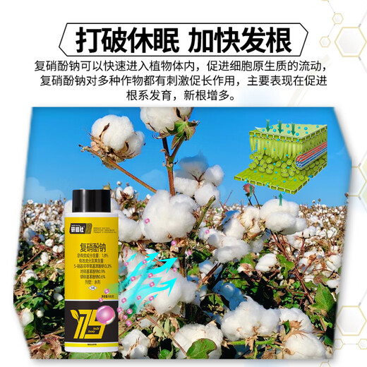 Yanzhishe Compound Sodium Nitrophenolate Growth Regulator Genuine Cotton Breaks Dormancy to Accelerate Rooting and Promote Growth Foliar Fertilizer Agricultural Materials 1 Bottle 500g Regulates Growth and Increases Production and Income