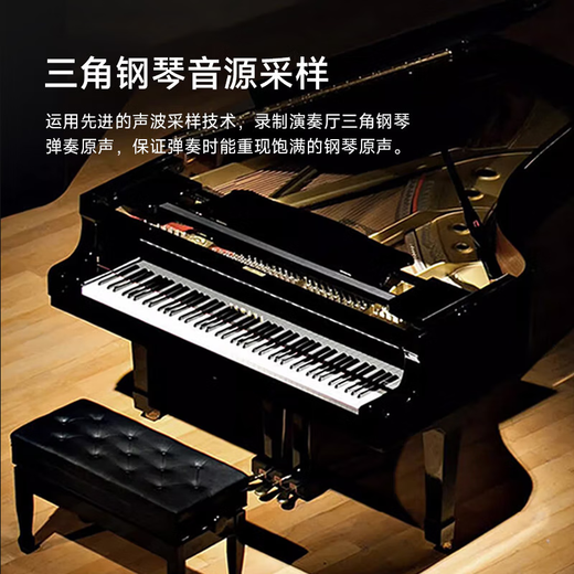 Betsy Electric Piano 88 Keys Portable Beginner Electronic Piano for Adults and Children - B877 Black + Z Stand
