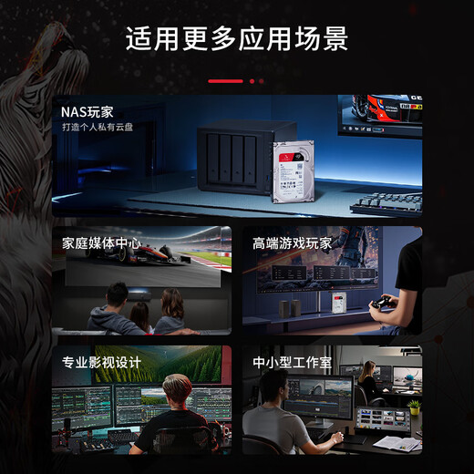 Seagate (SEAGATE) NAS hard drive 16TB 256MB mechanical hard drive CMR vertical silent and low consumption data recovery service 3.5 inches Seagate Coolwolf ST16000VN001